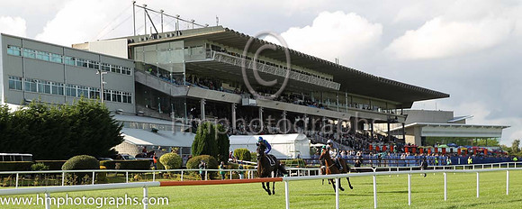 Irish Champions Day at Leopardstown