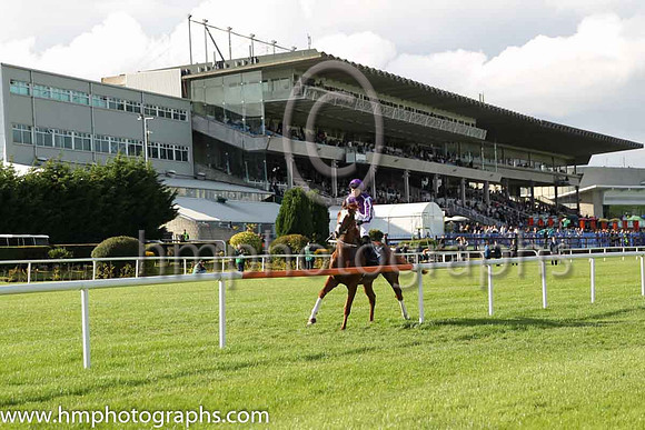 10th Sherlock Holmes ( 16 ) - purple, white seams ( Ana O'Brien ) : Trainer - A P O'Brien