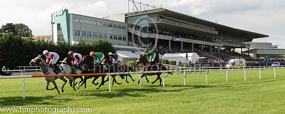 5th Venezia ( 9 ) - white, red cross ( Shane Foley ) : Trainer - M Halford