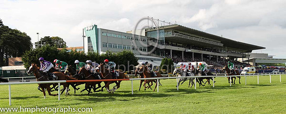 10th Sherlock Holmes ( 16 ) - purple, white seams ( Ana O'Brien ) : Trainer - A P O'Brien