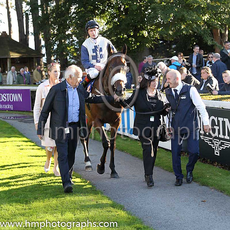 1st Fascinating Rock ( 1 ) - beige, dark blue cross ( Pat Smullen ) : Trainer - D K Weld