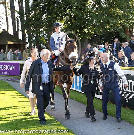 1st Fascinating Rock ( 1 ) - beige, dark blue cross ( Pat Smullen ) : Trainer - D K Weld