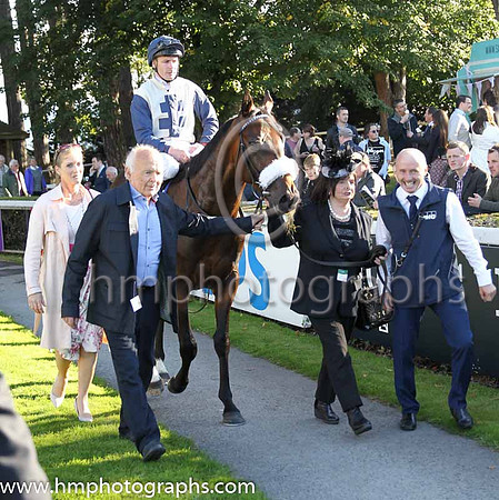 1st Fascinating Rock ( 1 ) - beige, dark blue cross ( Pat Smullen ) : Trainer - D K Weld