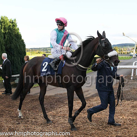 9th Brooch ( 2 ) - emerald green, pink sash ( Pat Smullen ) : Trainer - D K Weld
