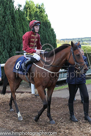 3rd Ainippe ( 6 ) - claret, gold braid ( Colin Keane ) : Trainer - G M Lyons