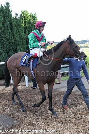 5th Euro Charline ( 4 ) - emerald green, maroon chevron ( Frankie Dettori ) : Trainer - Marco Botti