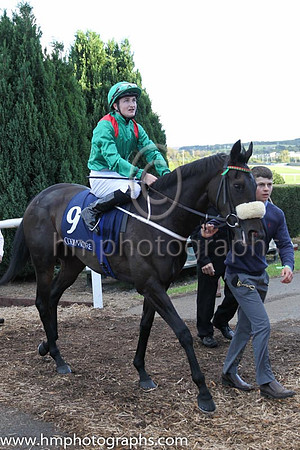 4th Raydara ( 9 ) - green, red epaulettes ( Shane Foley ) : Trainer - M Halford