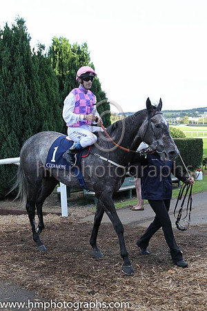 7th Amazing Maria ( 1 ) - mauve and pink check ( Olivier Peslier ) : Trainer - David O'Meara