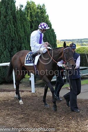 6th Steip Amach ( 10 ) - white, purple panel ( Kevin Manning ) : Trainer - J S Bolger