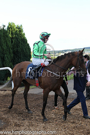 8th Military Angel ( 8 ) - light green, black seams ( F M Berry ) : Trainer - M D O'Callaghan