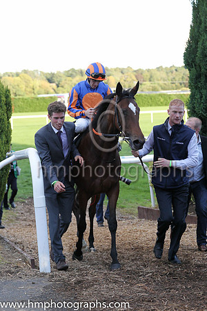 1st Legatissimo ( 7 ) - royal blue, orange disc ( Wayne Lordan ) : Trainer - David Wachman