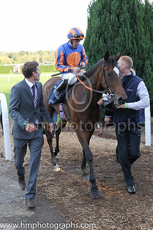 1st Legatissimo ( 7 ) - royal blue, orange disc ( Wayne Lordan ) : Trainer - David Wachman