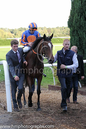 1st Legatissimo ( 7 ) - royal blue, orange disc ( Wayne Lordan ) : Trainer - David Wachman