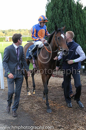 1st Legatissimo ( 7 ) - royal blue, orange disc ( Wayne Lordan ) : Trainer - David Wachman