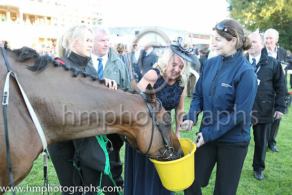 1st Custom Cut ( 2 ) - red, white epaulettes ( Daniel Tudhope ) : Trainer - David O'Meara