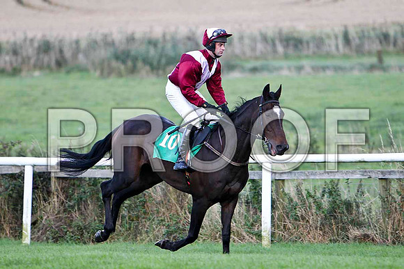 Robertstown Rover - Winner - FT8E4958-e
