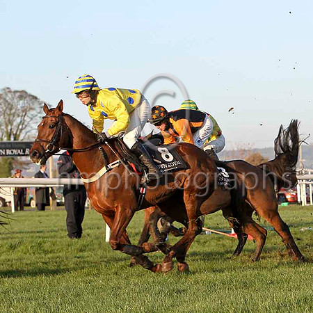 Equation (8) - PU, Jockey A P Crowe & Inverglen 3rd , Jockey D J Condon - FT8E7203-e2