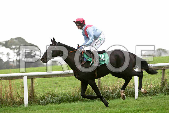 Evolution , Jockey P Townend - Fell  -CU2D2304-e