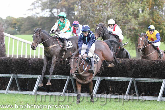 01 Lawless Island & R A Latta - winner (28, emerald green, orange spots) - FT8E9391-45