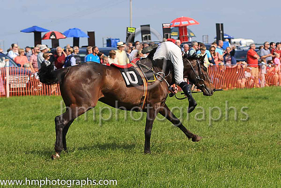 TULLYORIOR and R A Devine ( 10 , PURPLE; white sleeves; red cap,white star ) Trainer: Catherine Barry , Owner : Catherine Barry