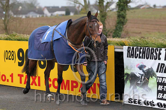 09 Shinrock Paddy & D E Mullins - PU (7, yellow, dark blue sash) - FT8E2208-8
