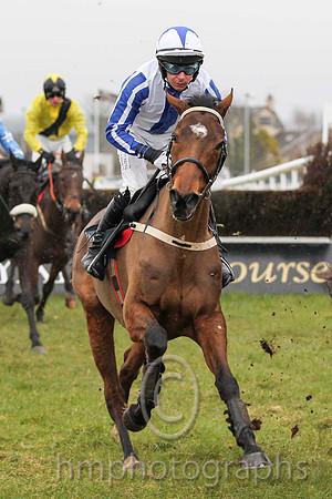 01 Seriatim & A P Thornton - winner (6, white, royal blue panel) - FT8E2236-25