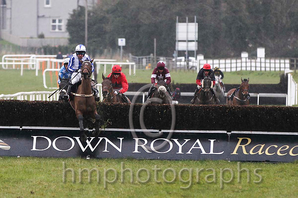 01 Seriatim & A P Thornton - winner (6, white, royal blue panel) - FT8E2244-27