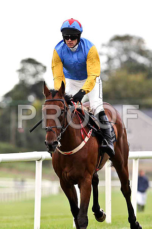 Shenao  8th, Jockey M Darcy - FT8E3772-e