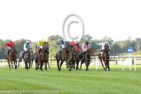 03 Tobann and K J Manning - - 03rd (4 ,white, purple panel ) Trainer - J S Bolger