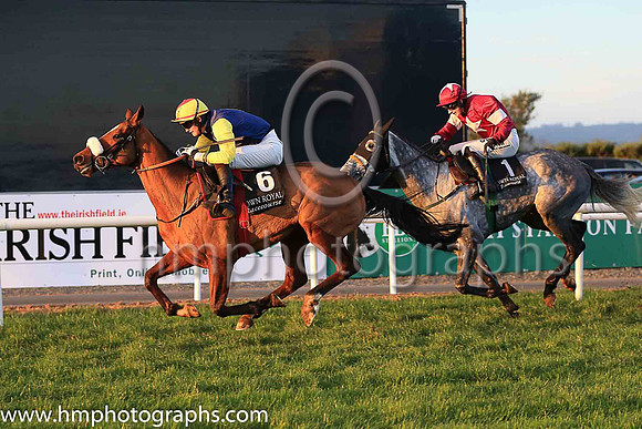01st Runfordave and Mr L J McGuinness ( 6 , dark blue, yellow diamond ) Trainer - G Elliott , Owner - Mrs P Sloan