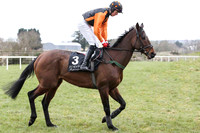 2012/03/16th - Race 1 The Daily Mirror Maiden Hurdle of 7,500 Euro at Down Royal