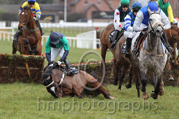 20 Dr Moloney & A P Thornton - Fell (6, dark blue and emerald green quartered) - FT8E2113-56