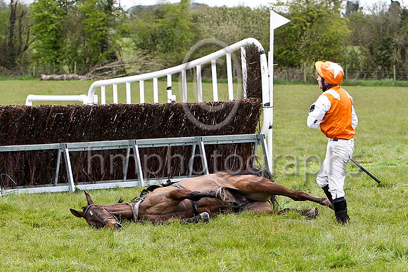 Baba Black Sheep (18) & B O Walsh - FFT8E1716-e