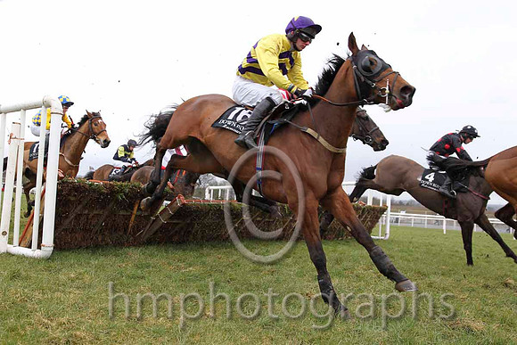02 Indubitably & D R Fox - 2nd (16, yellow and purple chevrons) - CU2D6388-8