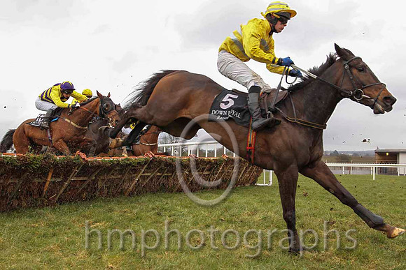 03 Edmundo & D R Dalton - 3rd (5, yellow and gray hoops) - CU2D6398-13