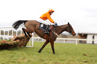 2013/03/16th - Race 2 The Martinstown Opportunity Handicap Hurdle (80-95) of 9,500 Euro