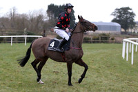 2013/03/16th - Race 2 The Martinstown Opportunity Handicap Hurdle (80-95) of 9,500 Euro