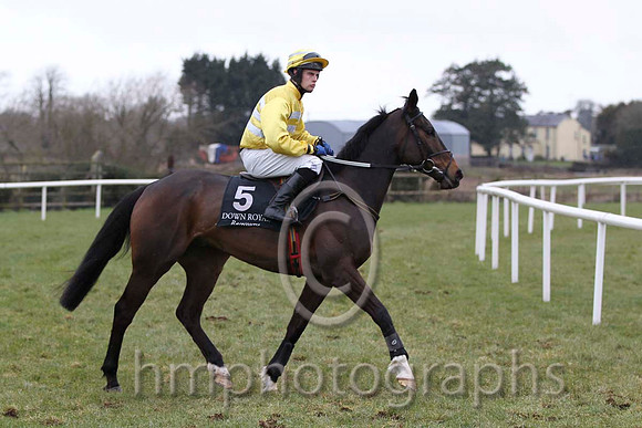 03 Edmundo & D R Dalton - 3rd (5, yellow and gray hoops) - FT8E2174-51