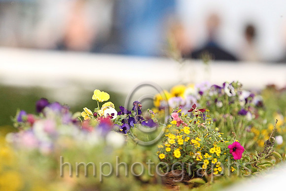 Flowers at Downpatrick Race Course