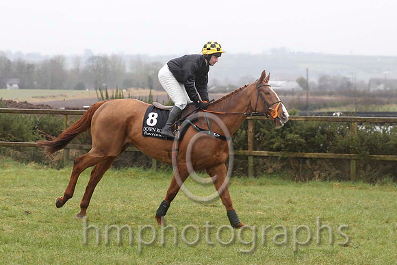 01 Treacle & D J Casey - winner (8, black, black and yellow check cap) - CU2D6478-3
