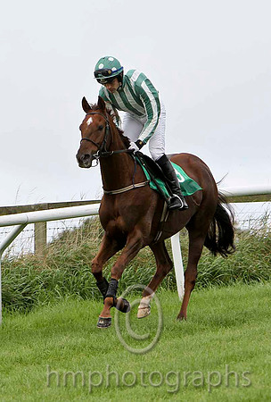 Wee Giant , Jockey Ruby Walsh - winner - CU2D2223-e