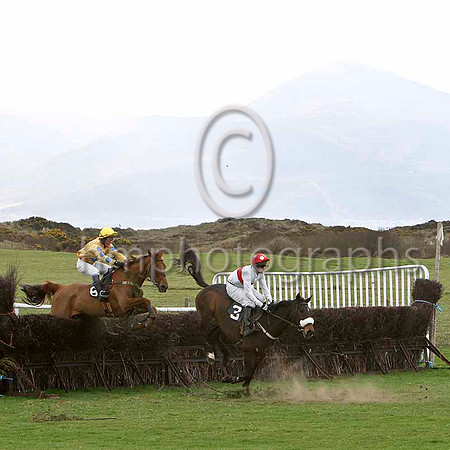 Dromone Express & D A Fitzsimmons - 3rd & Professor Clumley & P E Turley - 4th - FT8E9231-e