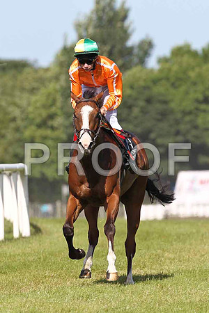 Time Travel 7th, Jockey J P O'Brien - FT8E1392-e2