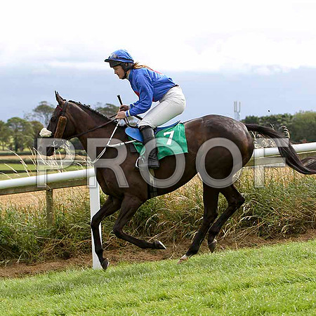 Lea Lady - 6th, Jockey Miss C L Fahey   - FT8E3868-e
