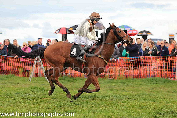 LOUGHVIEW LADDIE and NM J O'Hare ( 4 , BEIGE,brown chevron; beige sleeves; brown cap ) Trainer: Mrs John B. Ross,, Owner : Macklin, Sean