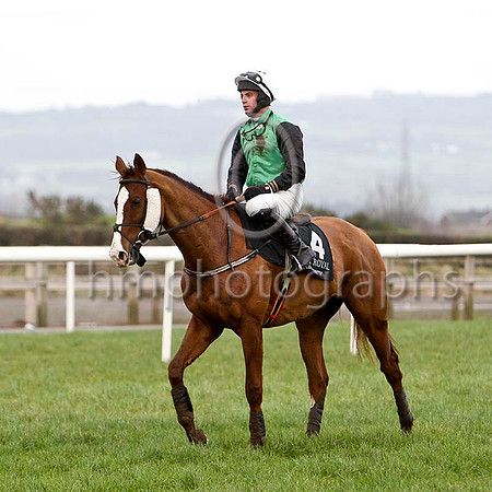 Mister Farmer & N P Madden  - Unseated Rider - FT8E8992-e