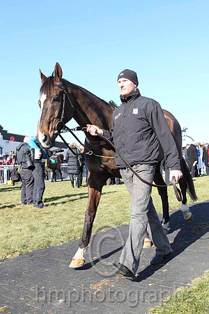 Parade Ring - CU2D6957-3