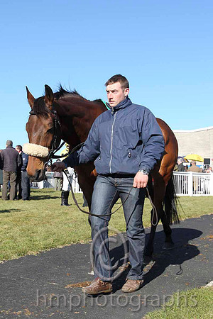 Parade Ring - CU2D6953-1