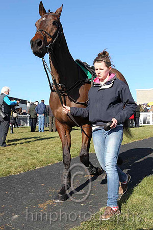 Parade Ring - CU2D6955-2