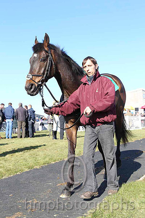Parade Ring - CU2D6959-5